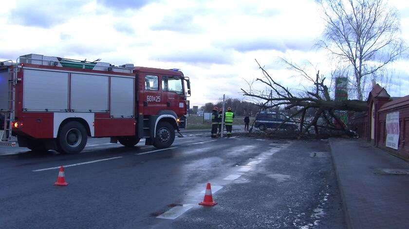 W Zgorzelcu z powodu wichury zablokowana była jedna z dróg wyjazdowych z miasta