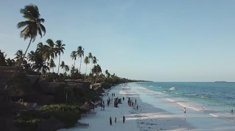 Zanzibar gra dla Wielkiej Orkiestry Świątecznej Pomocy