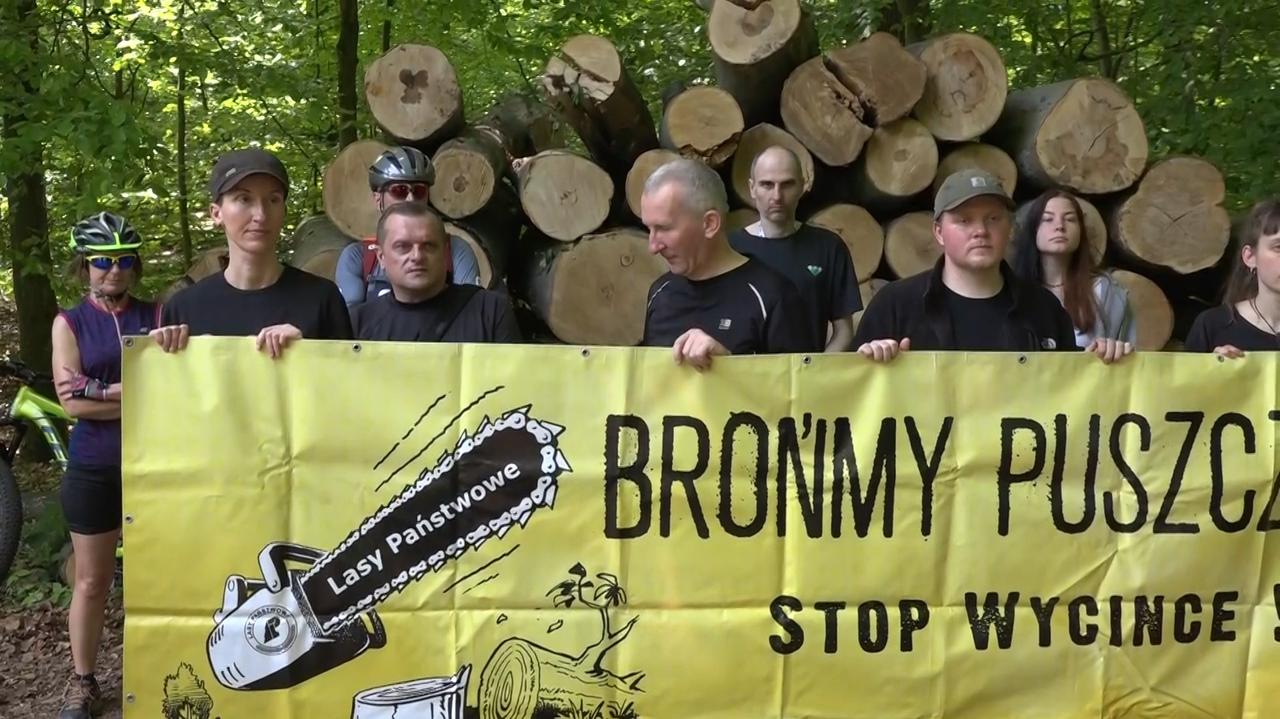 Aktywiści chcą ocalić Puszczę Bukową. Protestują przeciwko wycince wiekowego drzewostanu
