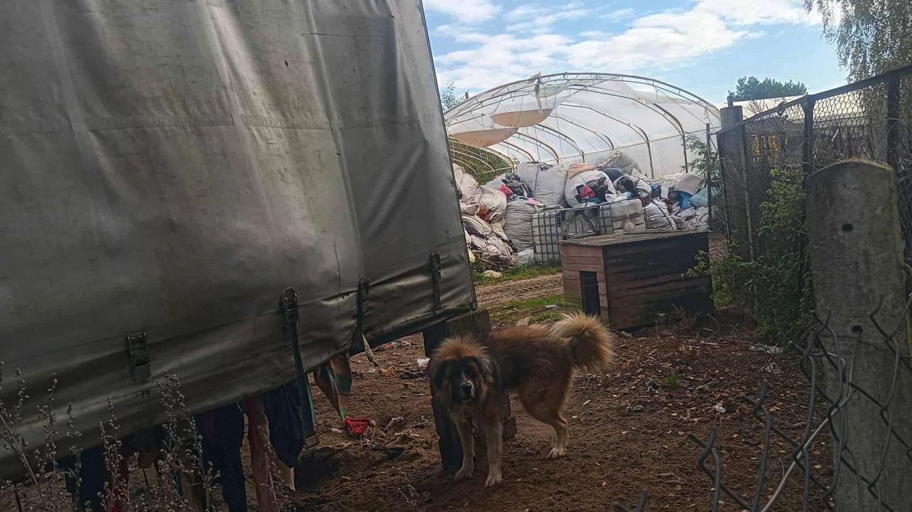 Składowisko odzieży i zaniedbane zwierzęta