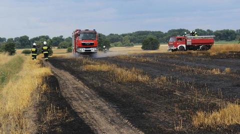 Karolew. Pożar zboża na pniu. Spłonęło 6,8 hektara (materiał z 21.07.2022)