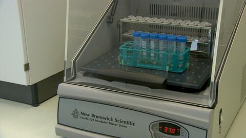 Jakie testy na zakażenie koronawirusem są obecnie wykonywane?