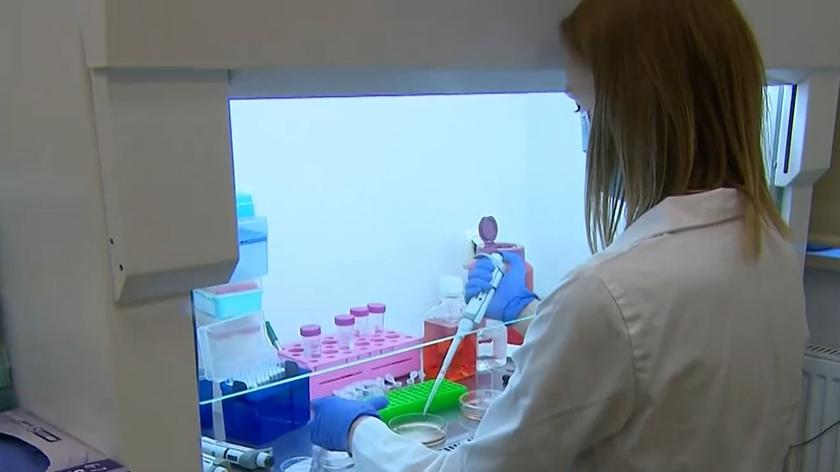 Poznań: Polska szczepionka na koronawirusa coraz bliżej. Potrzebne są środki na badania kliniczne 
