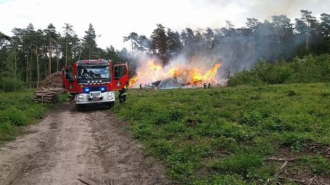 Pożar w Puszczy Bieniszewskiej