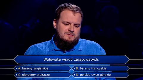 Wołowate wśród zającowatych. Pytanie w "Milionerach" za 75 tysięcy złotych