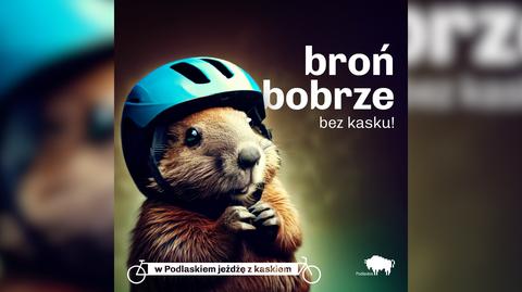 Zwierzęta bohaterami kampanii województwa podlaskiego