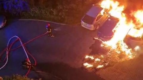 Nocny pożar w Gdańsku. Spłonęły samochody i wiata śmietnikowa