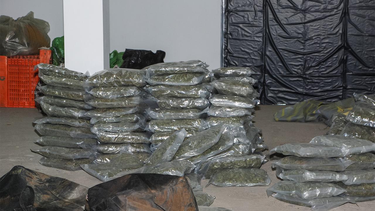 Niemal tona marihuany w przęśle mostu. "Zeszyt" stanie przed sądem