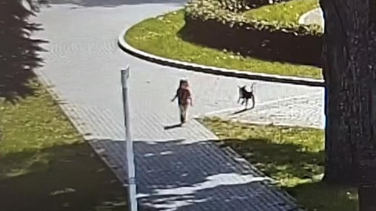 Trzylatka omal nie wbiegła na jezdnię. Jej matka była pod wpływem narkotyków
