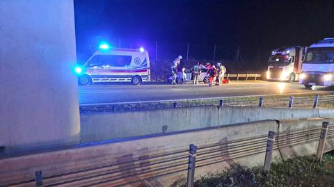Tragiczny finał po zderzeniu z łosiem na autostradzie A1. 52-letni kierowca nie żyje (7.07.2023)