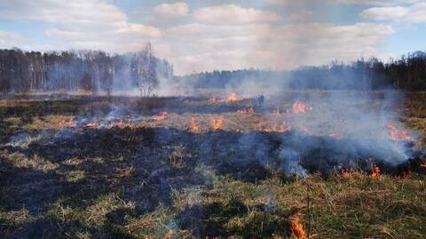 Pożar na poligonie wojskowym. Spłonęło 100 hektarów traw