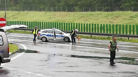 Policjanci i strażacy eskortowali konie na autostradzie A4