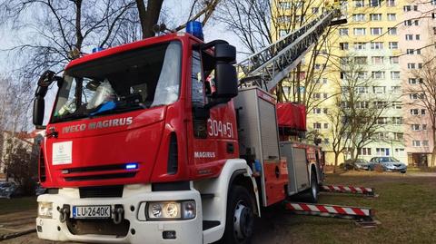 Firefighters saved the troubled pigeon