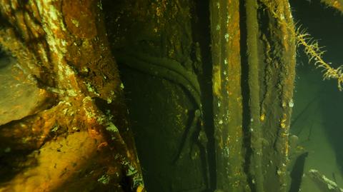 Polish divers hope Nazi shipwreck holds key to Amber Room treasure
