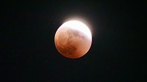 Zaćmienie Księżyca w Sydney