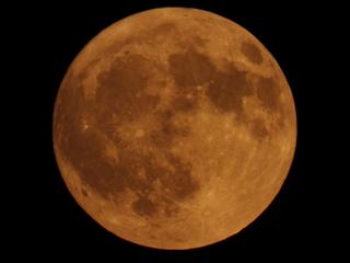 Truskawkowy Księżyc w Jabłonnie