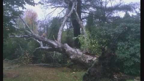 Amerykańscy użytkownicy portalu społecznościowego Twitter o nawałnicy Nor'easter 