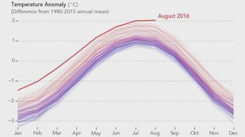 Anomalie temperatury od 1980 roku