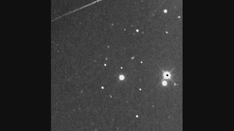 Asteroidę nazwano imieniem Freddiego Merkurego