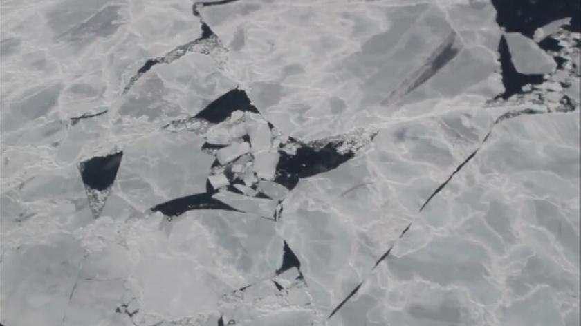 Bezkresny lodowy krajobraz Antarktydy