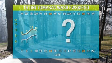 Pogoda na 16 dni: fala wiosennego ciepła zbliża się do Polski