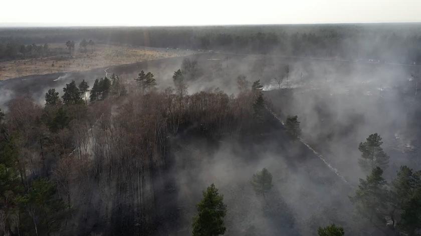 Zagrożenie pożarami w wielu lasach jest duże