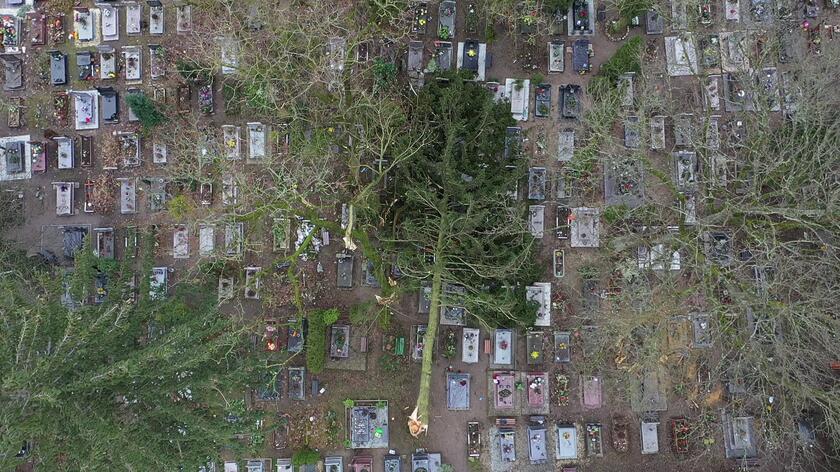 Wichura nałamała drzew na szczecińskim cmentarzu