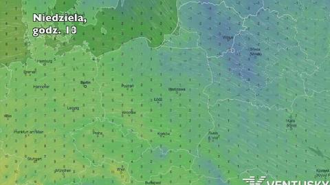 Temperatura w ciągu najbliższych pięciu dniu (Ventusky.com) | wideo bez dźwięku