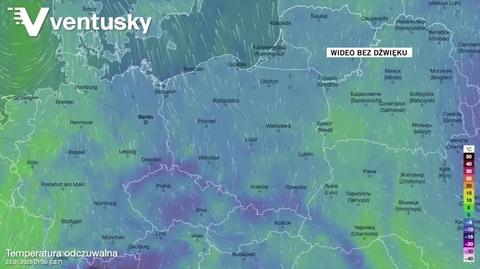 Prognozowana temperatura w kolejnych dniach