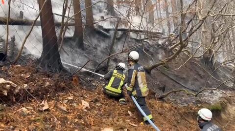 Walka z pożarem niedaleko Ofunato