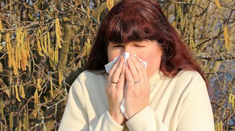 Coraz większe stężenia pyłków, coraz więcej alergików