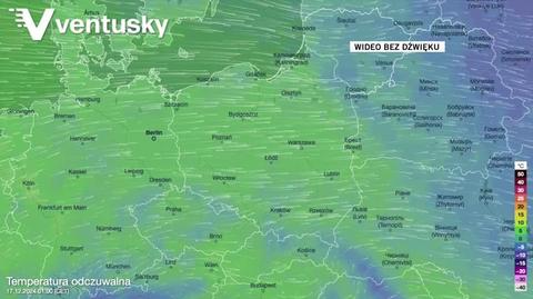 Prognozowana temperatura w kolejnych dniach 