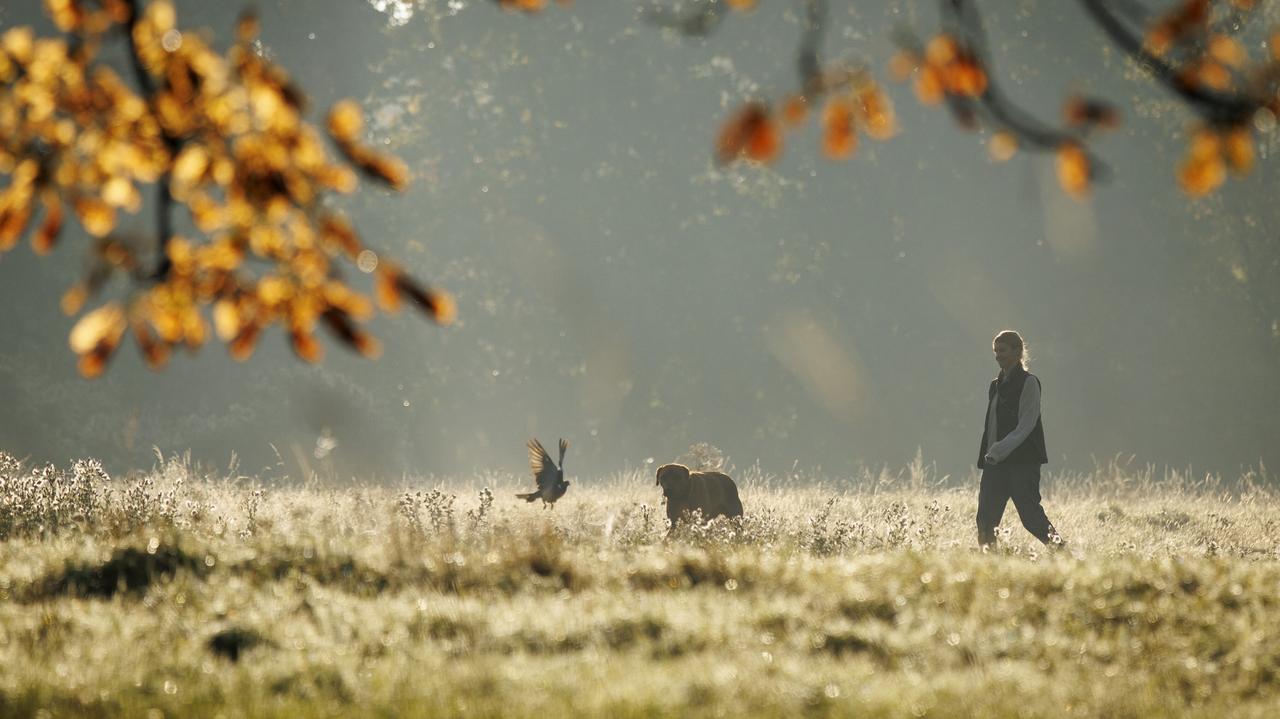 Pogoda na dziś - czwartek, 2.10. Zaświeci słońce, ale będzie chłodno