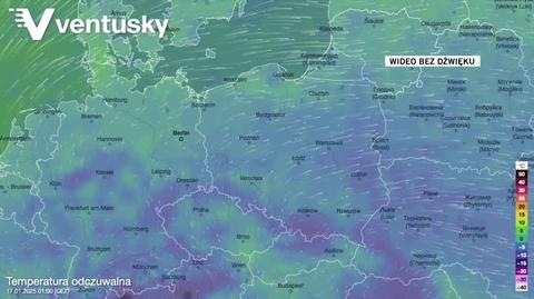 Prognozowana temperatura w kolejnych dniach