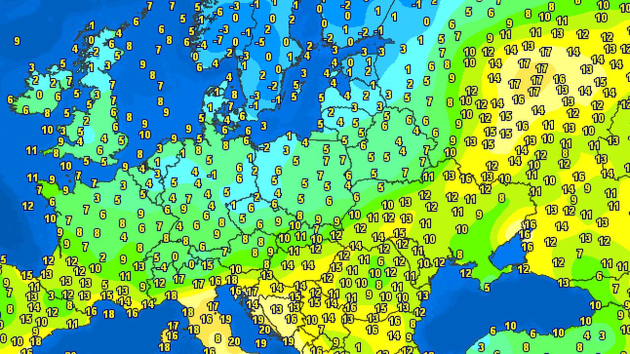 Zimni ogrodnicy przyszli w tym roku wcześniej. W prognozach mróz