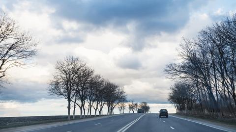 shutterstock_253575379