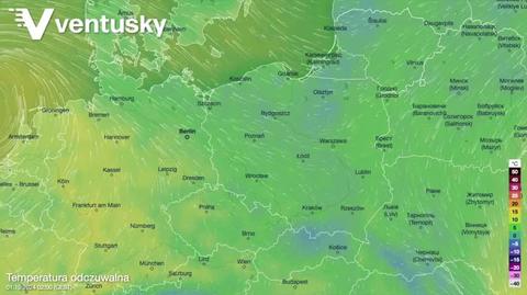 Prognozowana temperatura w kolejnych dniach