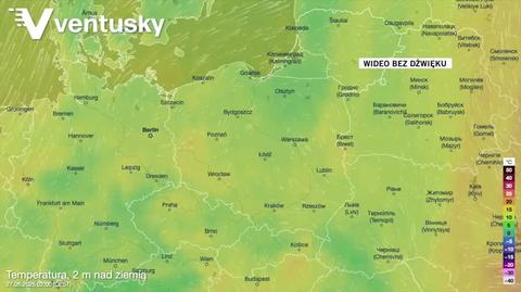 Prognozowana temperatura w najbliższych dniach