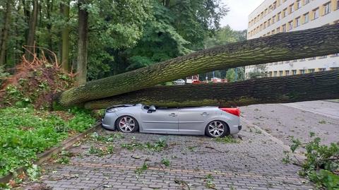 Mieszkańcy Dębicy o sobotnich nawałnicach