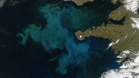 Niebiesko-błekitna woda w Morzu Czarnym