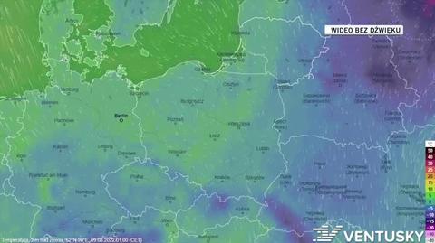 Prognozowana temperatura w kolejnych dniach