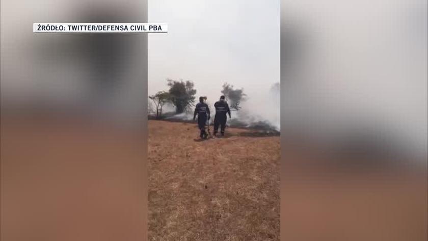 Pożar w prowincji Corrientes w Argentynie