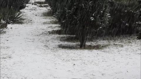 Zrobiło się "ciemno", zagrzmiało i sypie śnieg