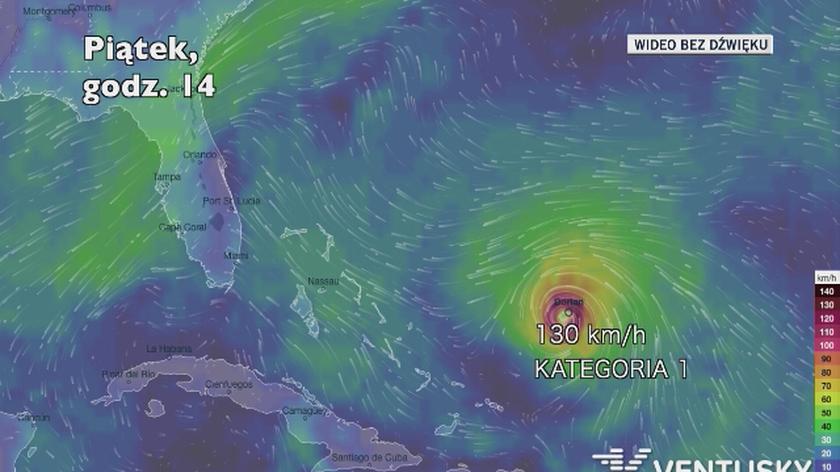Prognozowane porywy wiatru podczas huraganu Dorian (Ventusky.com) | wideo bez dźwięku