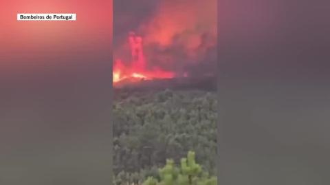 W miejscowości Penafiel (Portugalia) uformował się ognisty wir (wideo bez dźwięku)