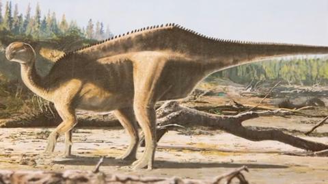 Odkryto nowy gatunek dinozaura