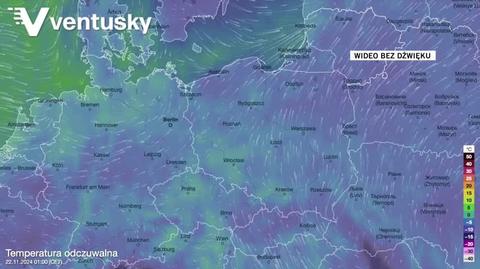 Prognozowana temperatura w kolejnych dniach