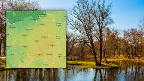 Prognozowana temperatura na najbliższe dni