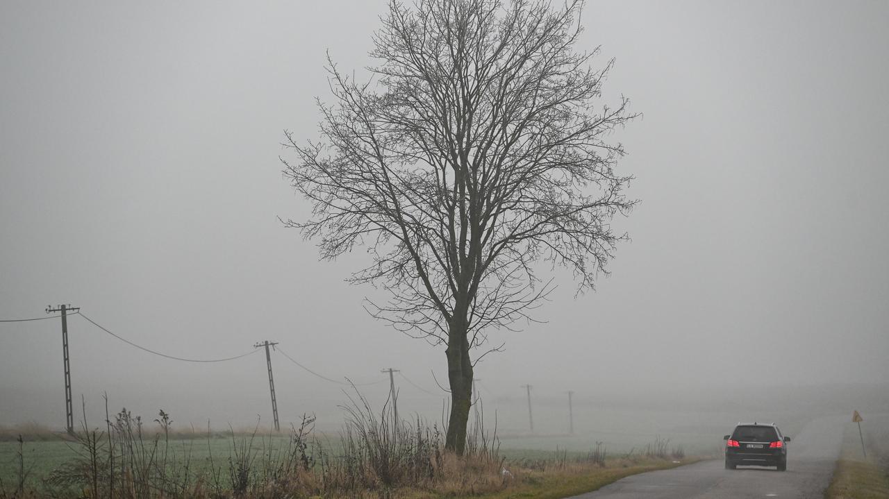 Pogoda na 11 listopada. Przed nami chłodne, pochmurne Święto Niepodległości