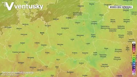 Prognozowana temperatura w kolejnych dniach
